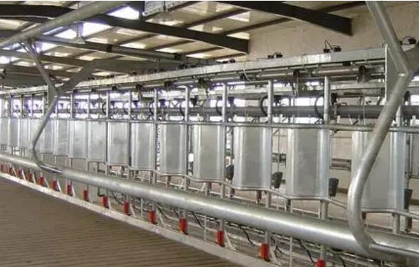 城西钢结构 vs 传统结构:一场关于强度与速度的全面胜出!